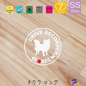 チワワロング ドラレコステッカー 07 SSサイズ 文字(書体) 4種類から選べる 全28色 #drFUMI #dFUMI #ddFUMI #ddFUMIチワワ #ドラレコ