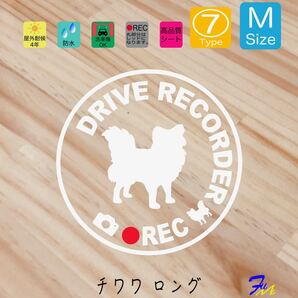 チワワロング ドラレコステッカー 07 Mサイズ 文字(書体) 4種類から選べる 全28色 #drFUMI #dFUMI #ddFUMI #ddFUMIチワワ #ドラレコ