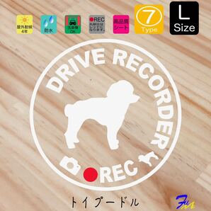 トイプードル ドラレコステッカー 07 Lサイズ 文字(書体) 4種類から選べる 全28色 #drFUMI #dFUMI #ddFUMI #ddFUMIトイプードル #ドラレコ