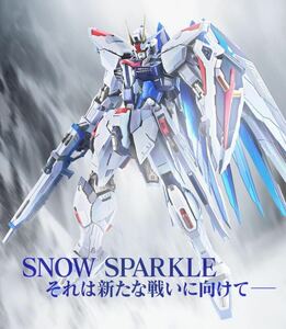 METAL BUILD フリーダムガンダム CONCEPT 2 SNOW SPARKLE Ver. 