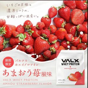 VALX バルクス ホエイ プロテイン あまおう苺風味 1kg☆newフレーバー×期間限定フレーバー