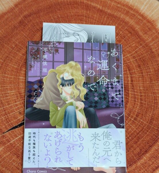 あくまで運命なので/不破慎理 コミコミスタジオ限定 両面カード 特典付き
