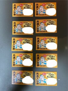 共通入浴券　銭湯　風呂　東京都公衆浴場業生活衛生同業組合　回数券　10枚