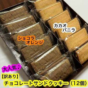 [ great popularity ] with translation chocolate Sand cookie ( chocolate orange &kakao vanilla ) 12 sheets outlet . pastry {. one person sama 1 point }