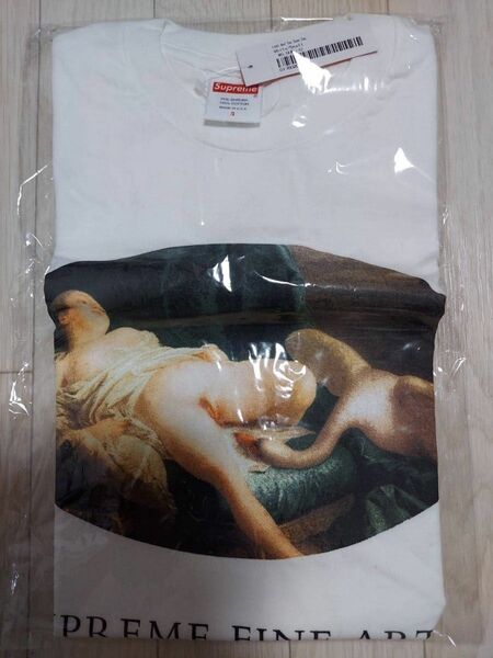 【新品】　Supreme fine arts　シュプリームTシャツ　M　エロTシャツ　メンズTシャツ　Tシャツ　プレゼントTシャツ