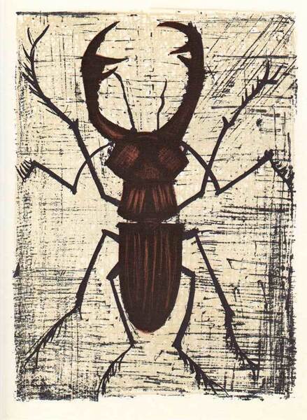 【特価】 ≪ ビュッフェ ≫ レゾネ図版 【 STAG-BEETLE 】