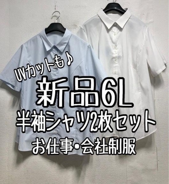 新品☆6L♪白×ブルー系♪半袖シャツ2枚セット♪会社制服・お仕事☆a822