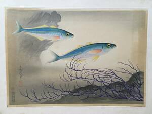 [ scad ][ large Japan fishes book of paintings in print ] Oono wheat manner Oono . manner woodblock print . color tree version two 100 times hand ..