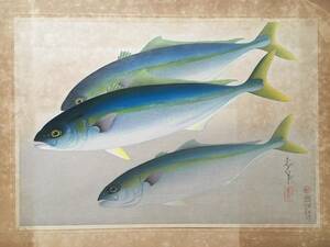【ハマチ】「大日本魚類画集」 大野麦風 大野麥風 木版画 原色木版二百度手摺り