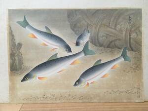 【ウグヒ/ウグイ】「大日本魚類画集」 大野麥風 木版画 大野麦風 おおのばくふう Ono Bakufu Ohno