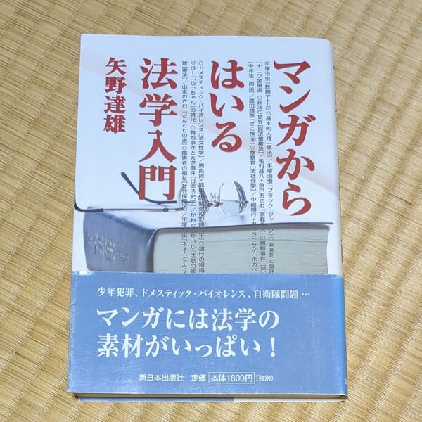 マンガからはいる法学入門 矢野達雄