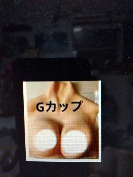 シリコンバスト 人工乳房 Gカップ