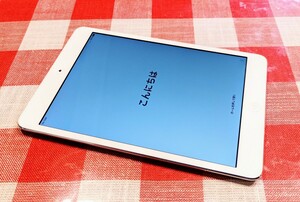 美品!! iPad mini2 docomo/wi-fi 32GB