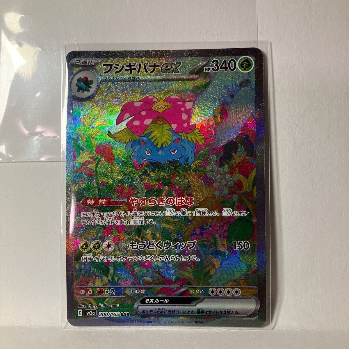 Yahoo!オークション -「ポケモンカード151 フシギバナ」の落札 Yahoo!オークション -「ポケモンカード151 フシギバナ」の落札