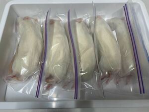  freezing lato27 pcs 