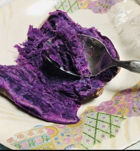 パープルスイートロード紫芋苗20本サツマイモ苗