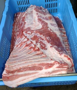 三重県産 豚バラブロック 鮮度に自信あり、新鮮さが売りです！ 本州、四国、九州送料無料！ 焼き豚、ベーコン作りにどうぞ