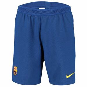 NIKE FCバルセロナ 2019/20 ホーム ヴェイパーマッチ ショーツ