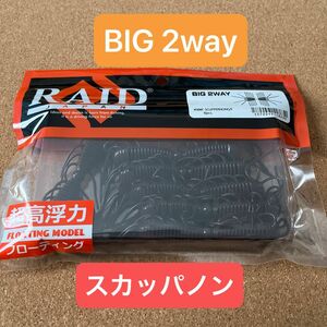 レイドジャパン　BIG 2way 超高浮力
