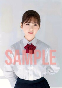 【C-001】筒井あやめ　Lサイズ写真　乃木坂46