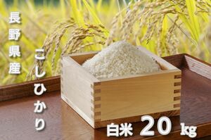 【白米】長野県産ブレンド米20キロ（10㎏×2袋）精米したてをお届け致します!!