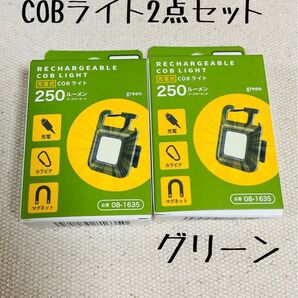 ダイソー CODライト 2点セット 新品 250ルーメン グリーン