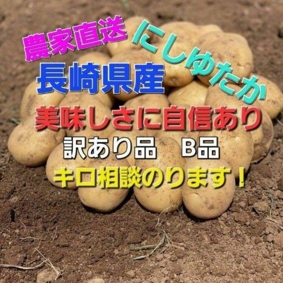 長崎県産 じゃがいもB品 にしゆたか 箱込み10キロ