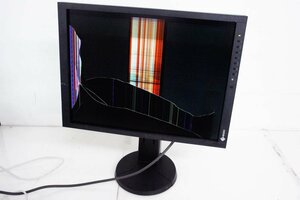 EIZOeizo-21.3 -inch wide liquid crystal monitor RadiForce MX215
