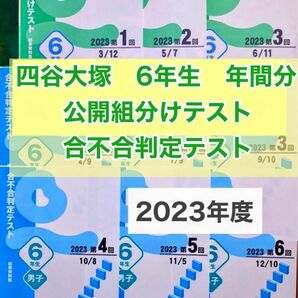 四谷大塚　2023年組分けテスト　合不合判定テスト　6年生　問題・解答／解説集　早稲アカ 