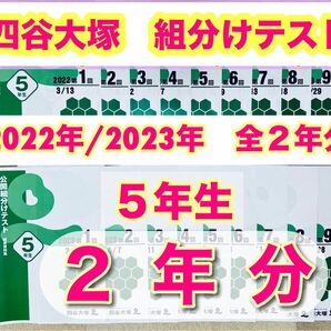 四谷大塚　組分けテスト　5年生　2年分過去問・解答資料集　早稲アカ