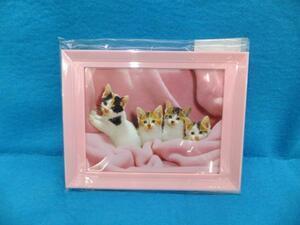 ** Fuji color L color frame pink ( new goods ) **