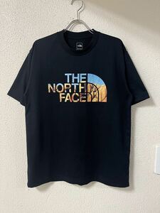 THE NORTH FACE ノースフェイス ハーフドームロゴ プリントジャージ Tシャツ 