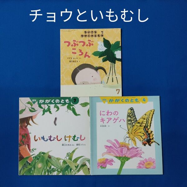 かがくのとも チョウといもむしけむし キアゲハ 福音館