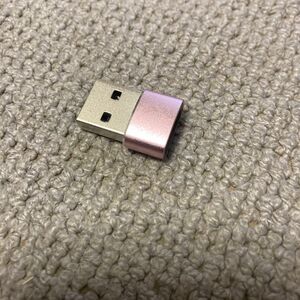 USB Type C 変換アダプタ タイプC （メス） To USB 3.0（オス） 変換アダプタ カラー薄ピンク