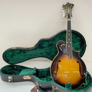 [P2] Grassland GL-130 Flat mandolin present condition goods hard case attaching glass Land stringed instruments 1884-129