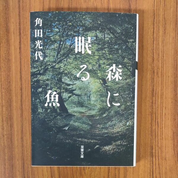 森に眠る魚 （双葉文庫　か－３０－０３） 角田光代／著