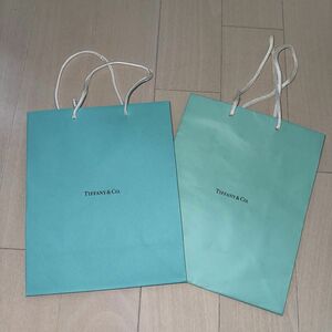 Tiffany&co ティファニー ショップ袋 ショッパー