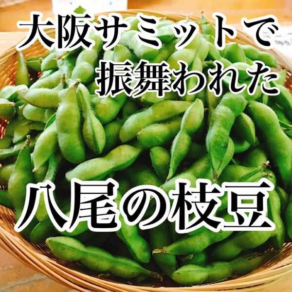 今しか食べられない！大阪八尾の枝豆 秀品　箱込み700g　送料無料