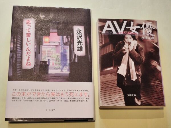 『AV女優』・『恋って苦しいんだよね』/永沢 光雄 2巻セット