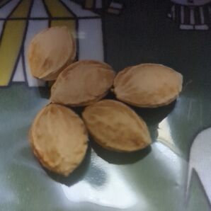 (プラム、すもも)、甘い、種子、5個、送料手数料200円込です。