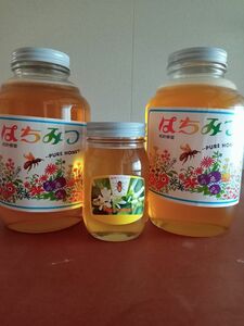 国産百花蜂蜜2400g×2と国産みかん蜂蜜600g