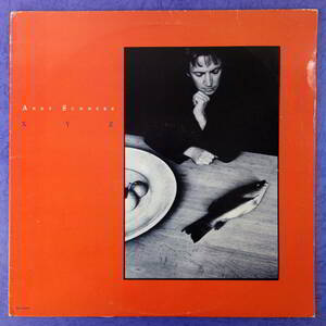 LP/US盤/　Andy Summers　/ XYZ / MCA / MCA-42007 /87年/　police