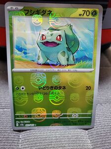 ポケモンカード 　フシギダネ　マスターボールミラー