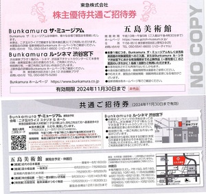 . island art gallery stockholder complimentary ticket appreciation ticket 2 sheets set ~4 collection till 2024 year 11 until the end of the month valid [ pavilion warehouse ] modern times. Japanese picture exhibition * summer. super goods exhibition one taste ..