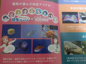 チラシ　幼生アイドル×ラブライブサンシャイン　幼魚水族館　静岡県清水町