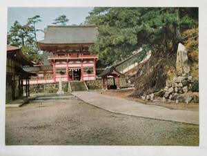 絵葉書　島根　日御碕大神宮　　　　　　　　　　　　　　　　　　　　　　　　　　　　　