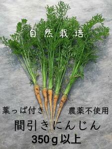 【自然栽培】葉っぱ付き にんじん☆350g以上☆ 農薬不使用