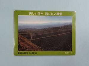 長野県眺望カード　菱野の棚田　小諸市　第３弾　１番