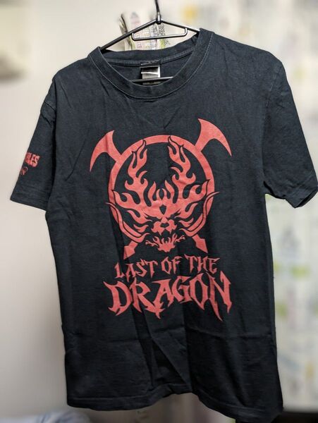 Tシャツ プロレス