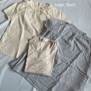 ナチュラル系トップス ブラウス Tシャツ 綿100